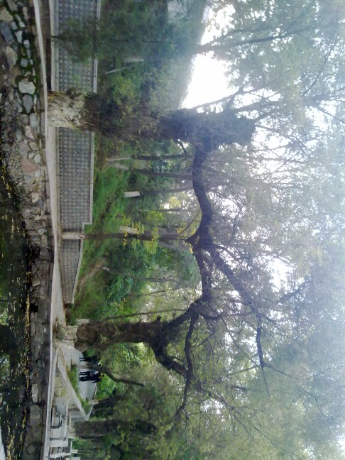 中科院成绩查询_中国科学院大学_考研论坛(ka