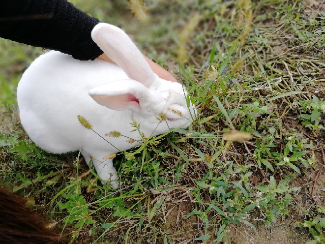 自考生想考研,寻战友。还没开始,就被劝放弃~