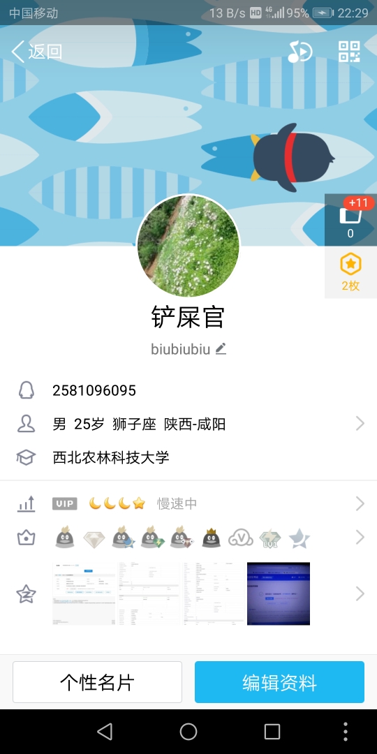 西农兽医专硕,需要资料的进来