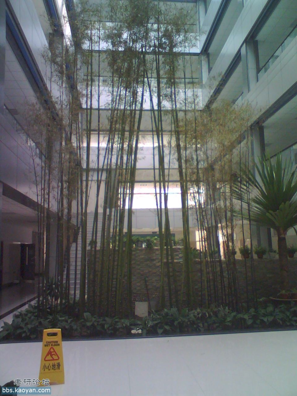 东财研究生院照片