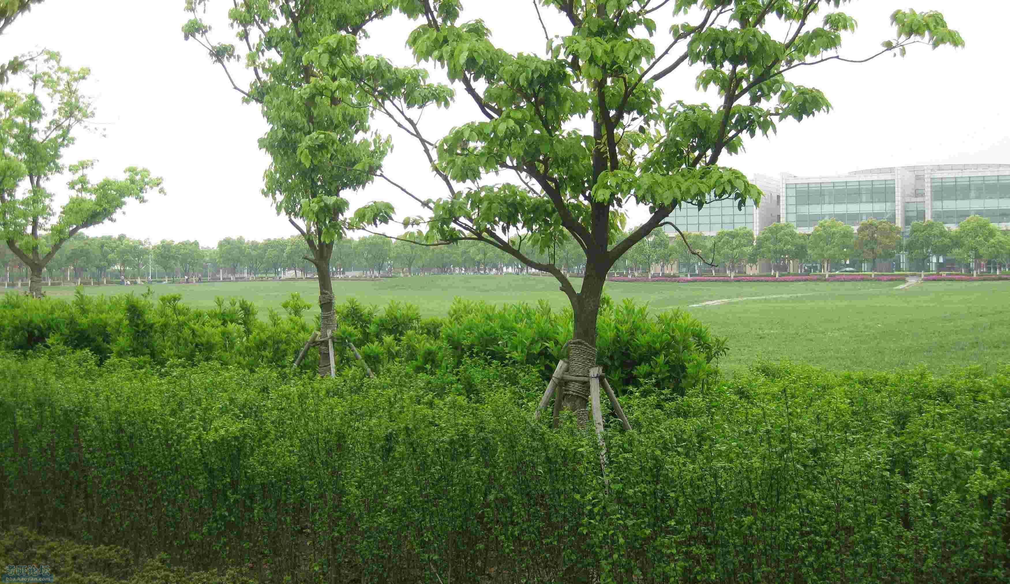 中科大软件学院(苏州)真实照片_软件工程硕士