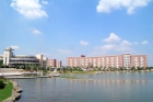 我的大学