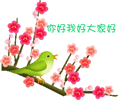 你好我好大家好.gif