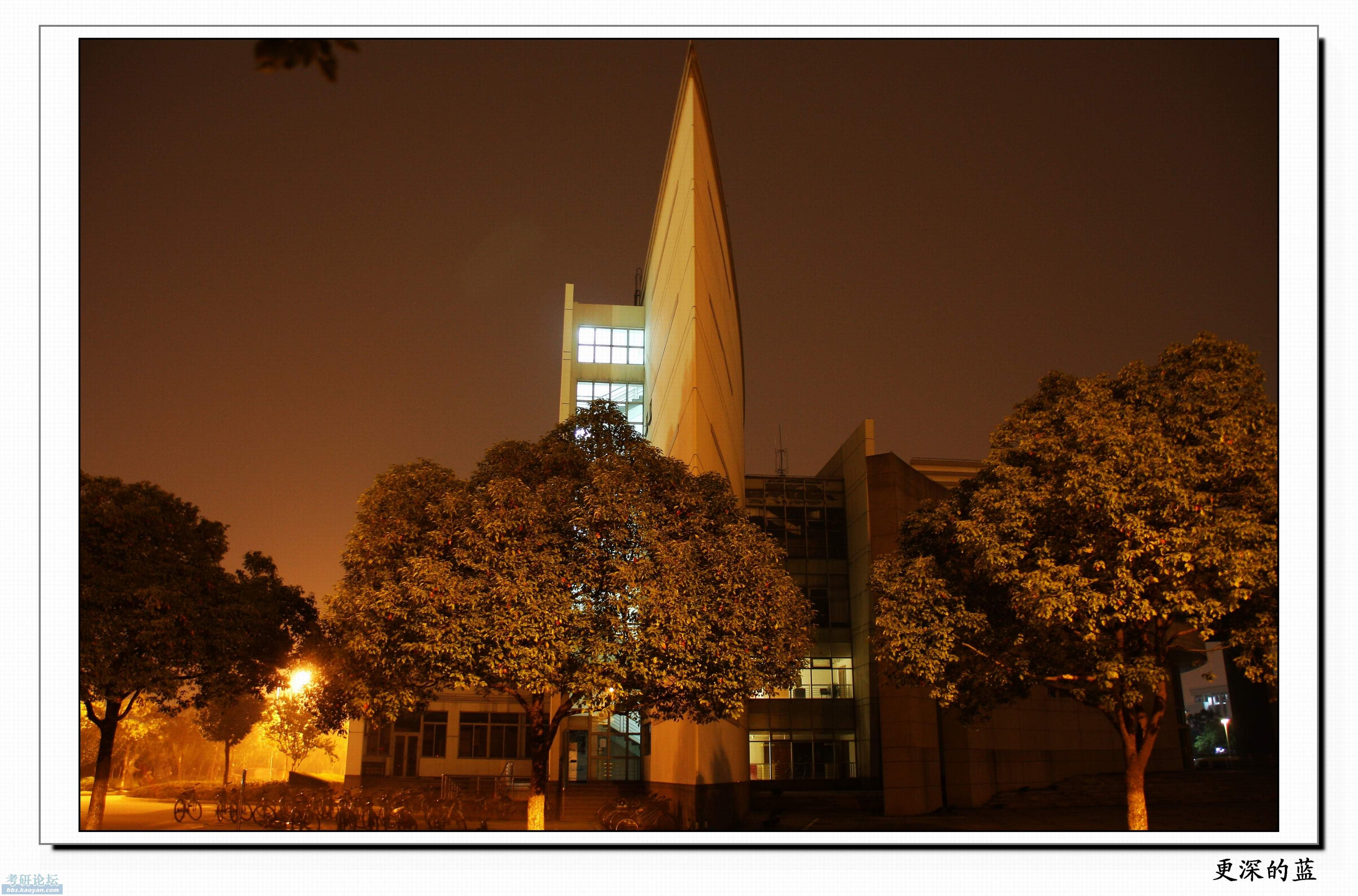 上海大学美丽夜景以及黑街照片
