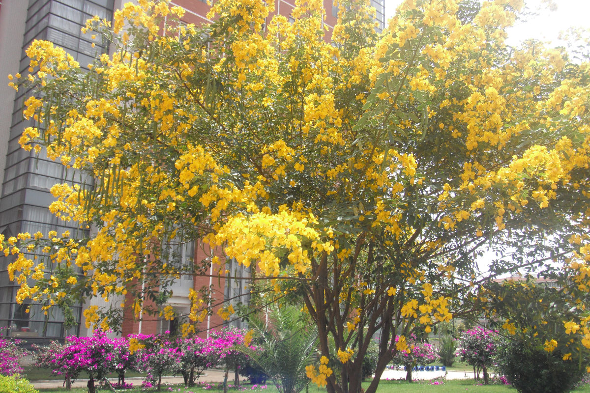 雲南民族大學呈貢雨花校區