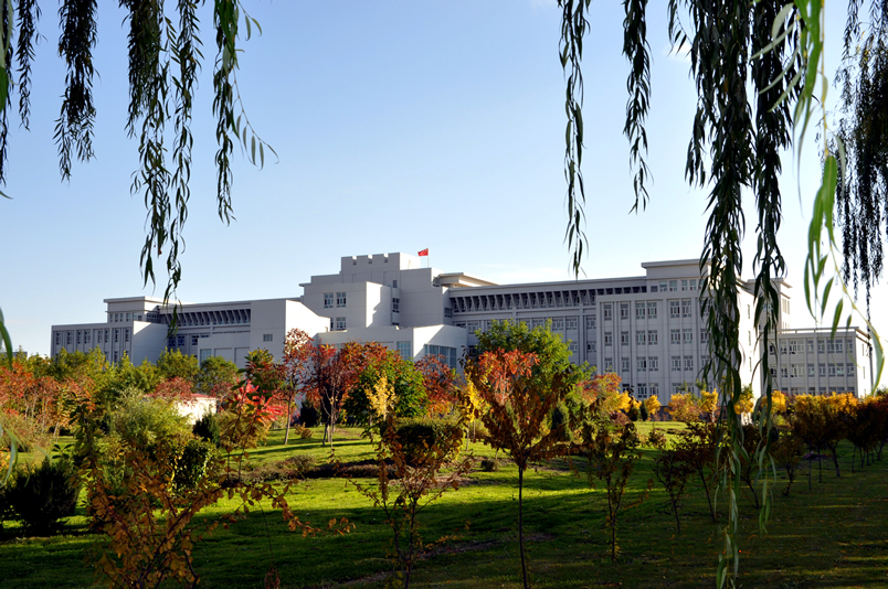 塔里木大学沙漠中的明珠高校百花园中的一朵奇葩