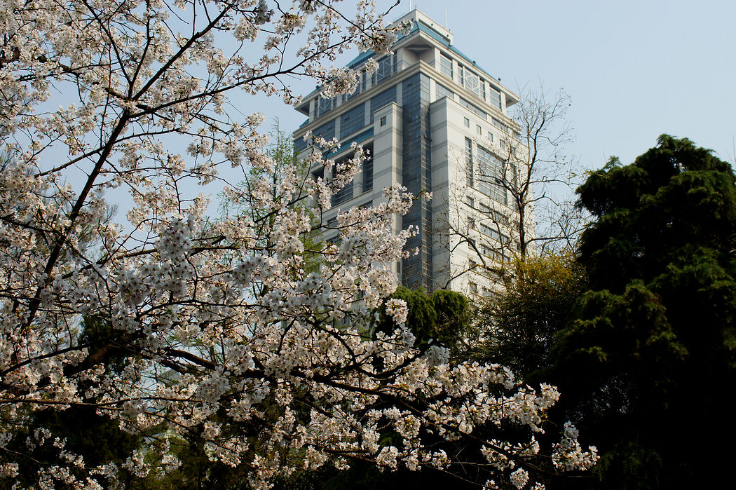 南京大学图片高清壁纸图片