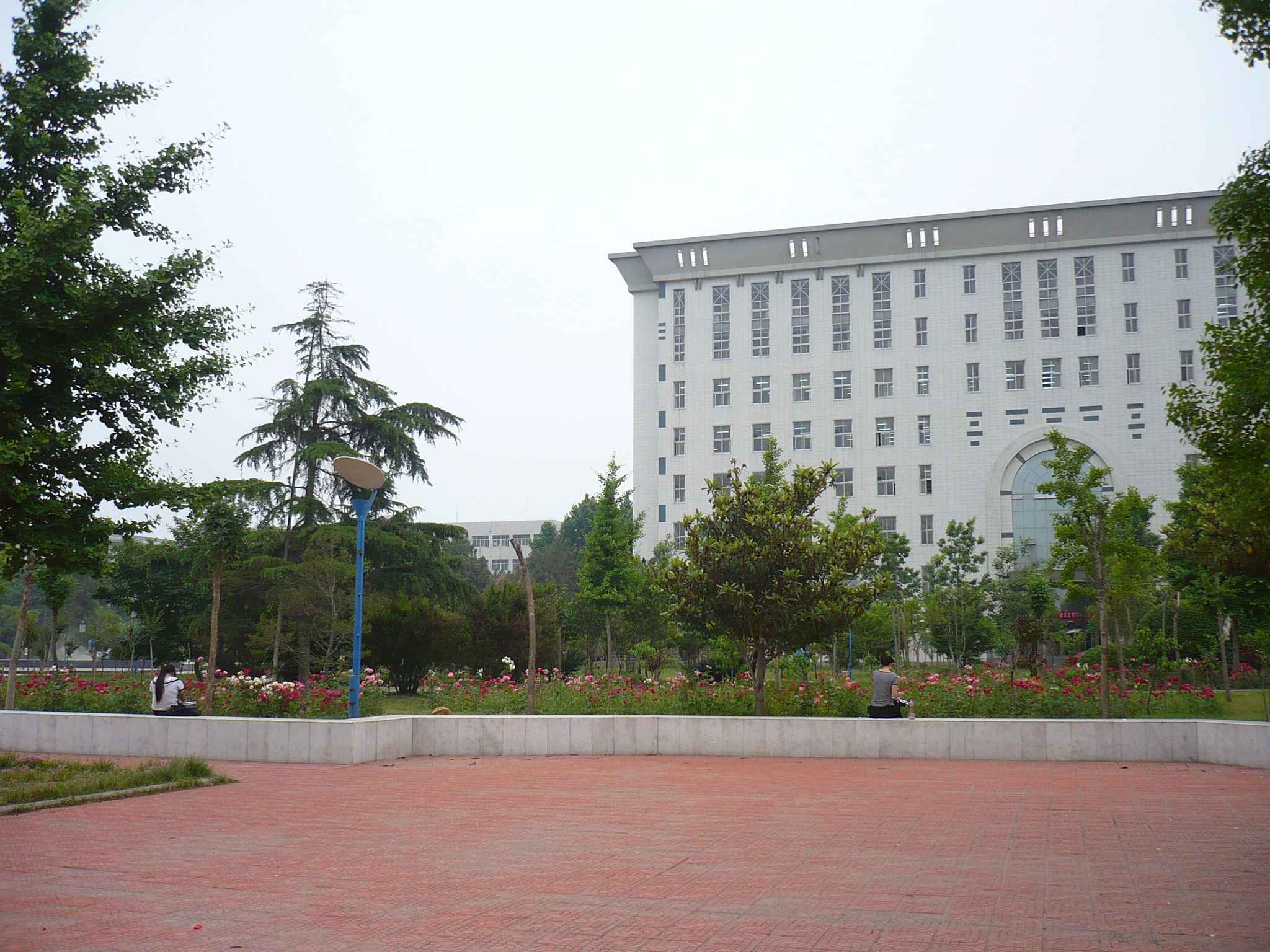 河南师范大学西16图片