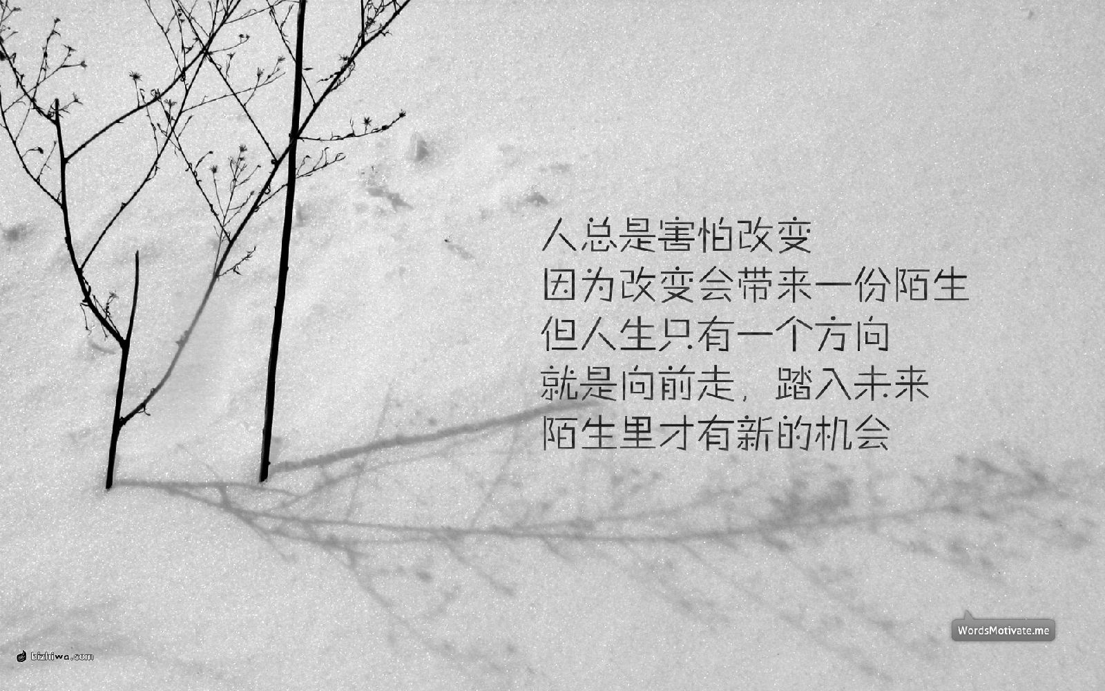 各种励志各种桌面各种奋斗上