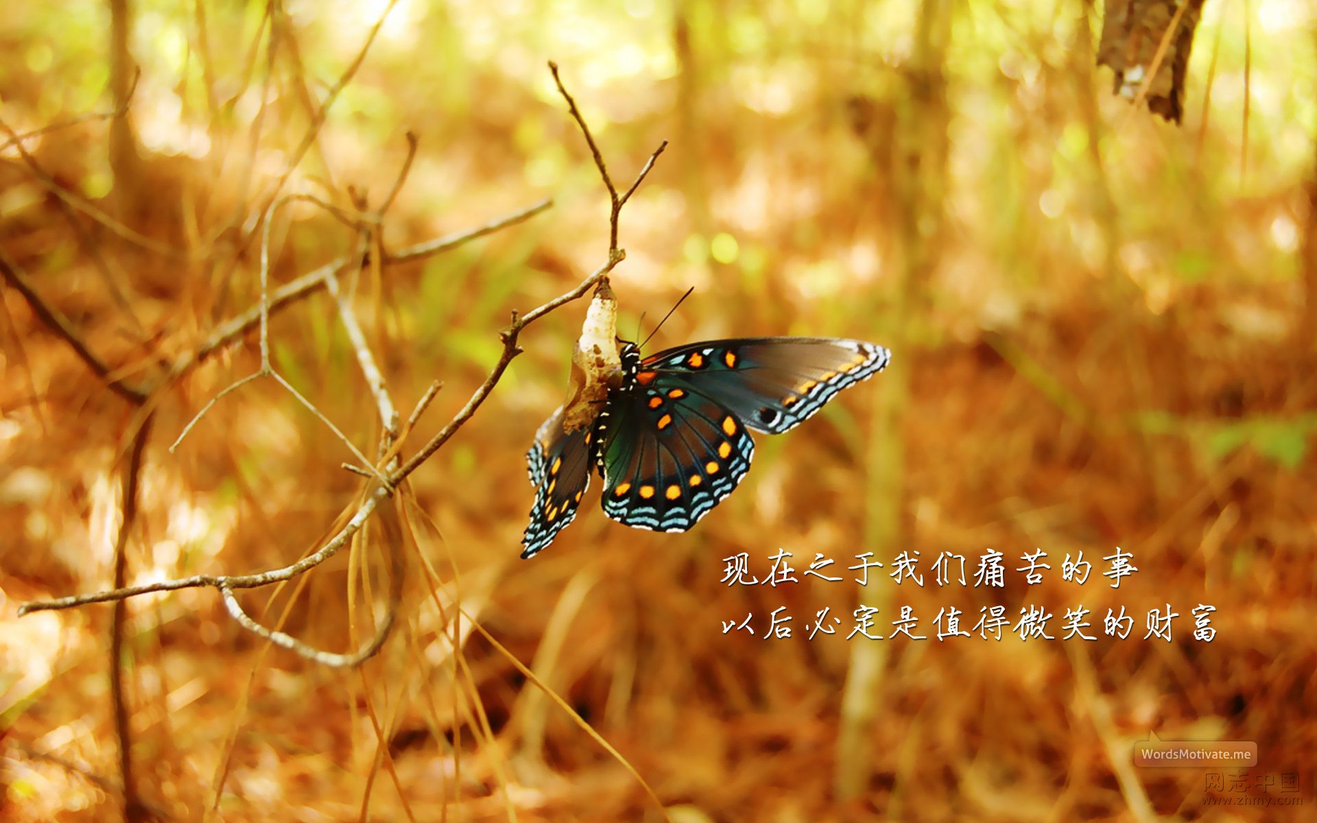 上传几张励志桌面壁纸挺好的