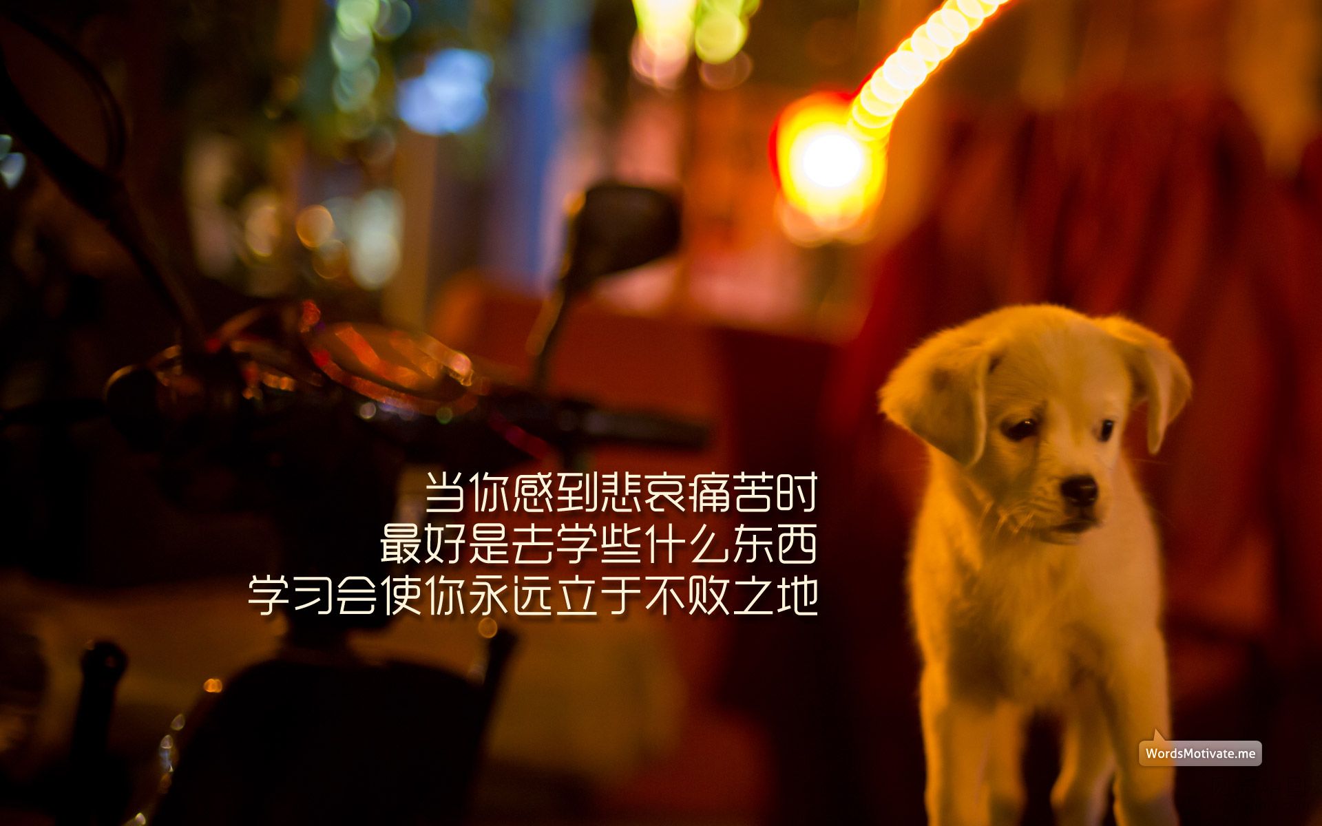 上传几张励志桌面壁纸挺好的