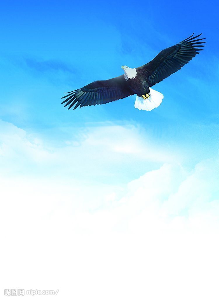 解开心灵的枷锁,放开心灵的翅膀