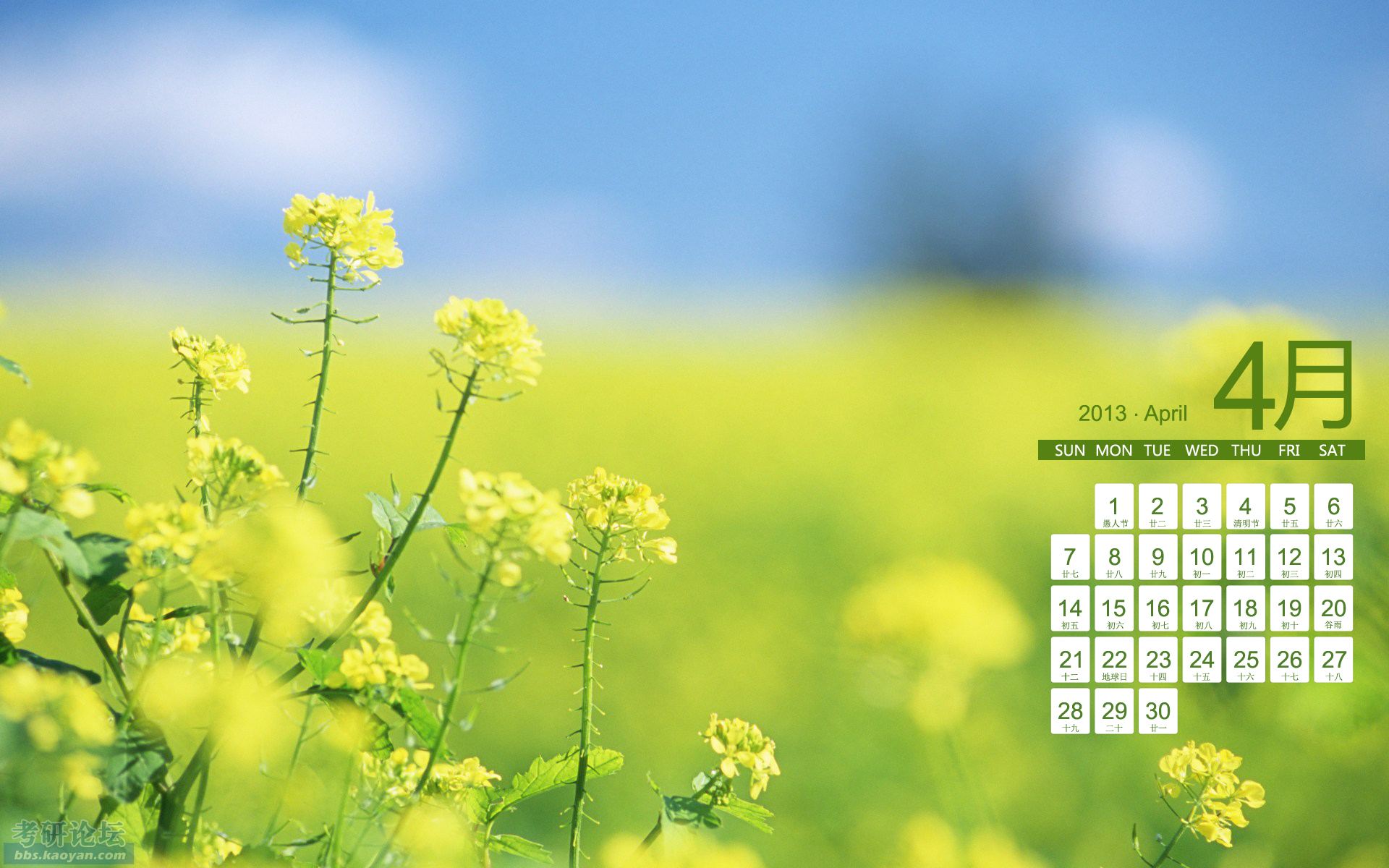 【池塘 4月】你是人间美好的四月天