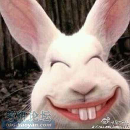 【辣屋七月版聊】唠一唠,十年笑,一起闹