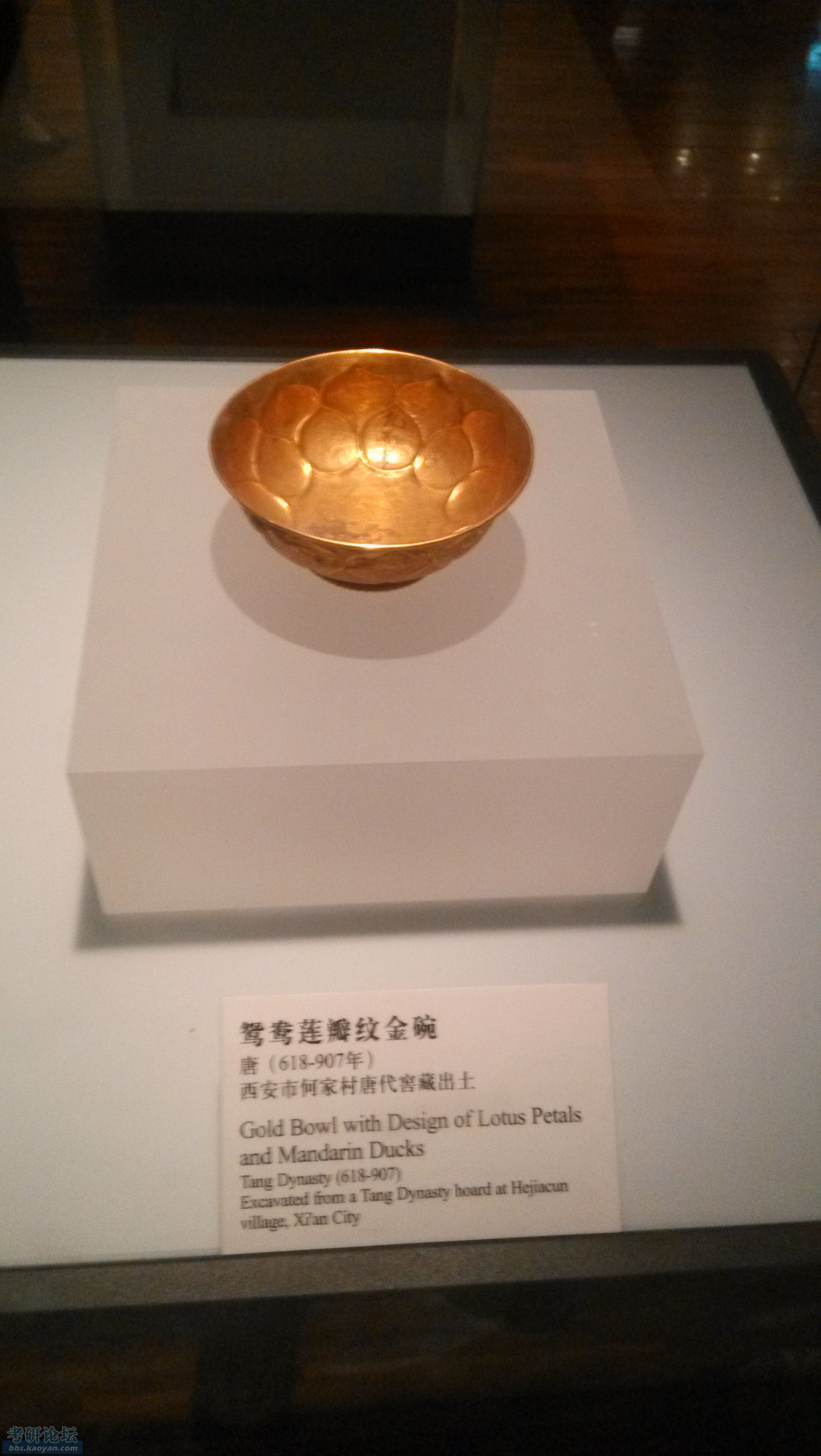 IMG_20130612_102637.jpg