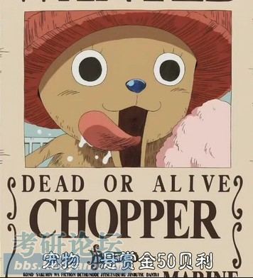 乔巴个人图文日志通缉令