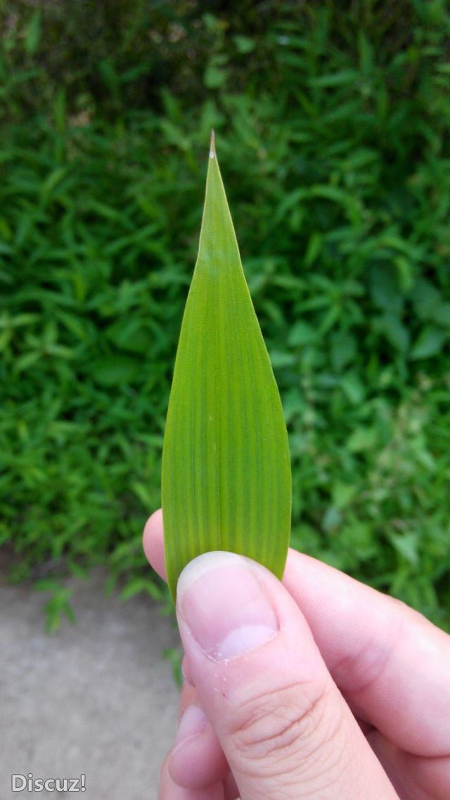 我就爱拈花惹草,又咋样!