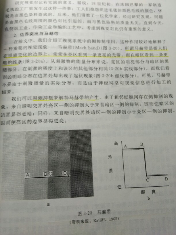 求助心理学问题怎样用侧抑制解释马赫带现象