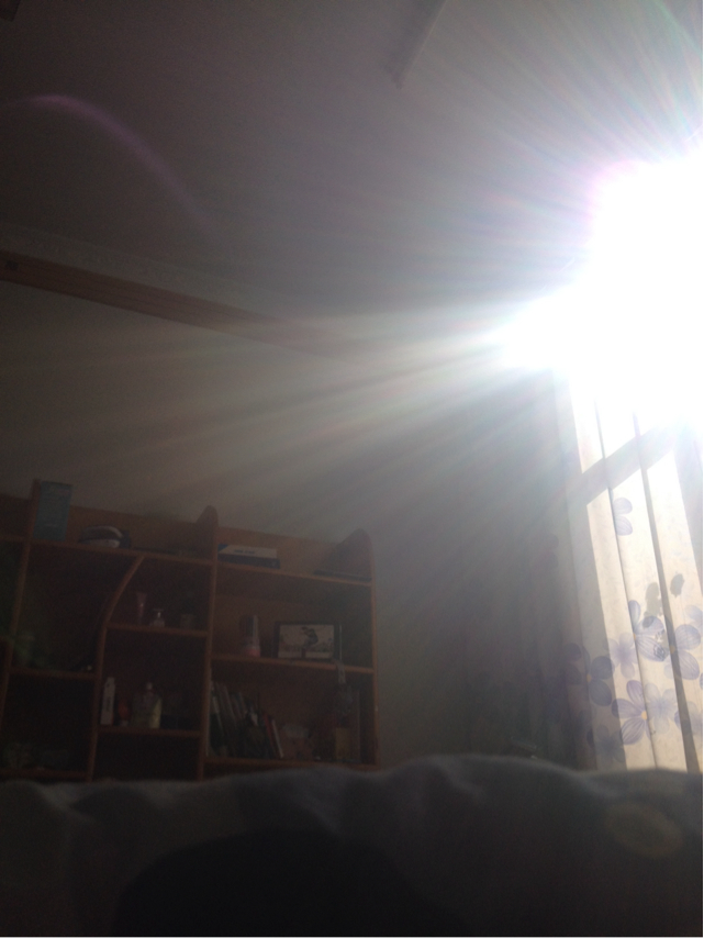 上午的阳光照进房子里