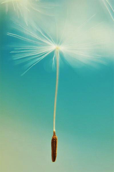 高反强烈,没能亲吻珠峰,进来的都能考上_第53页_2015年考研_特别专版