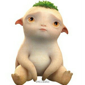 小学弟求人大环工研究生专业资料