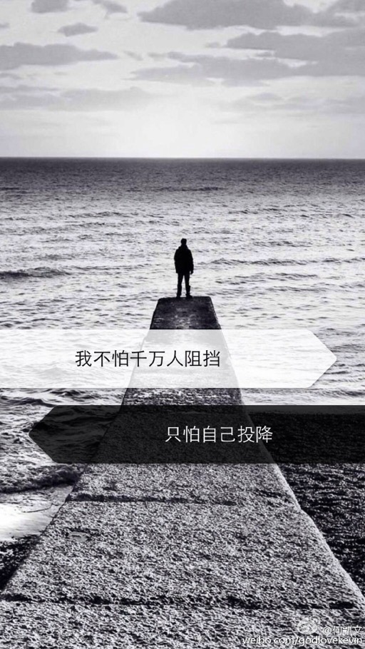 我不怕万人阻挡我只怕自己投降