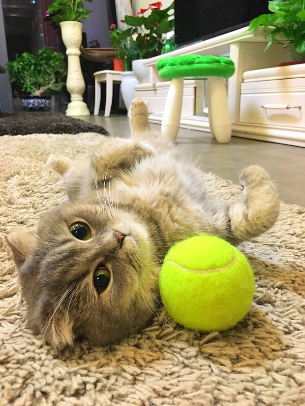 找研友 学科教学数学