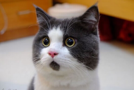 什么?2017考研日历本下册真的只剩一百本啦!