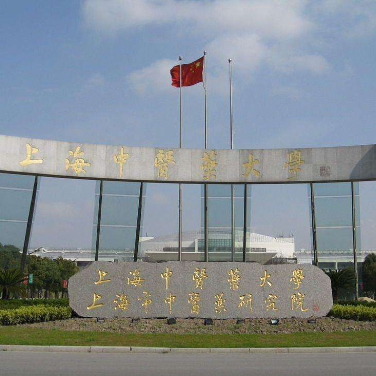 工作二战336分76天圆梦上中医