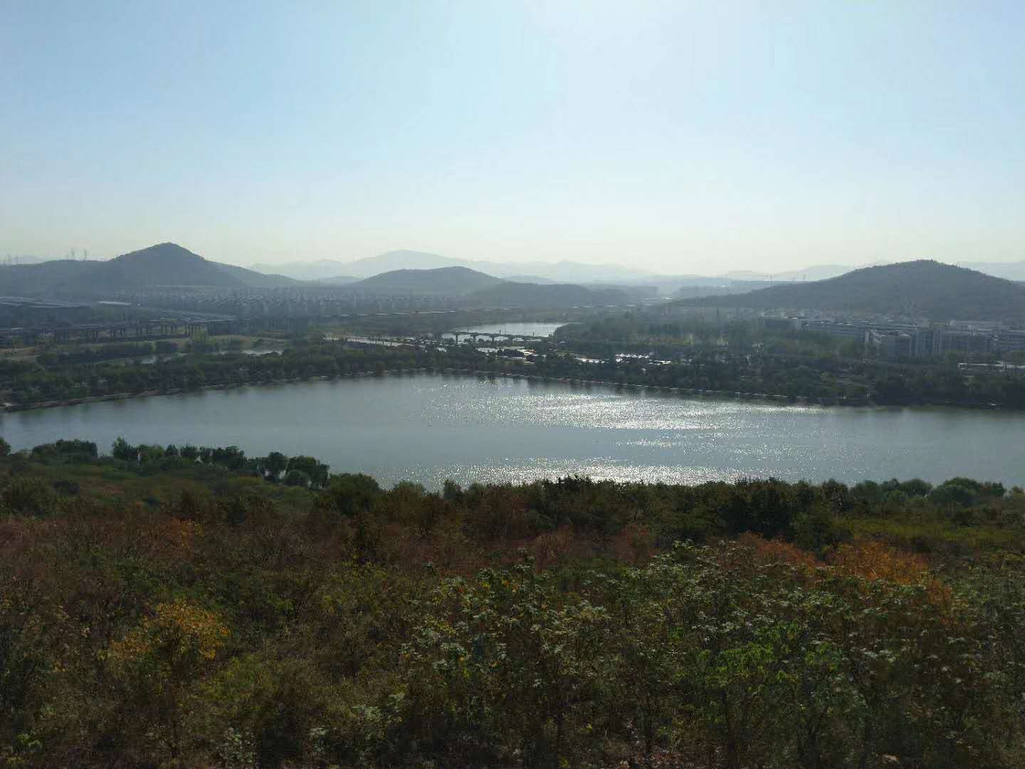 顾县羊山湖公园图片