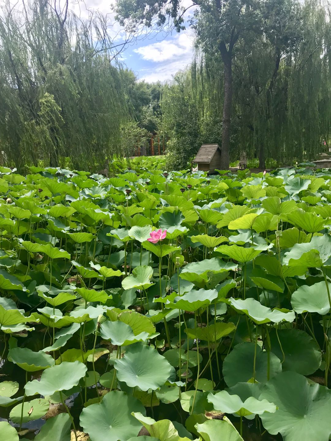 天津科技大学智能科学与先进制造试验班选拔标准解析：面试流程及必备准备