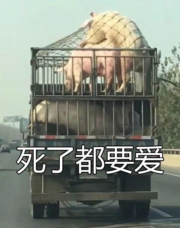学科思政上岸学姐901第一名