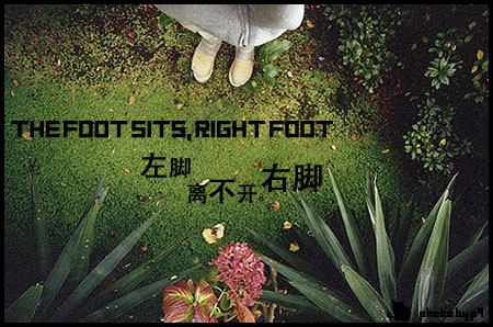 今天是个特别的日子_心情驿站_考研论坛(kaoyan.com)