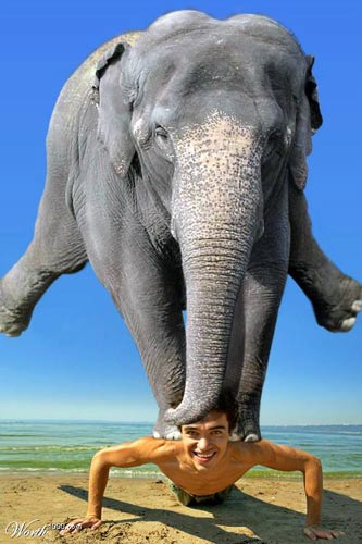 这个世界太疯狂了!